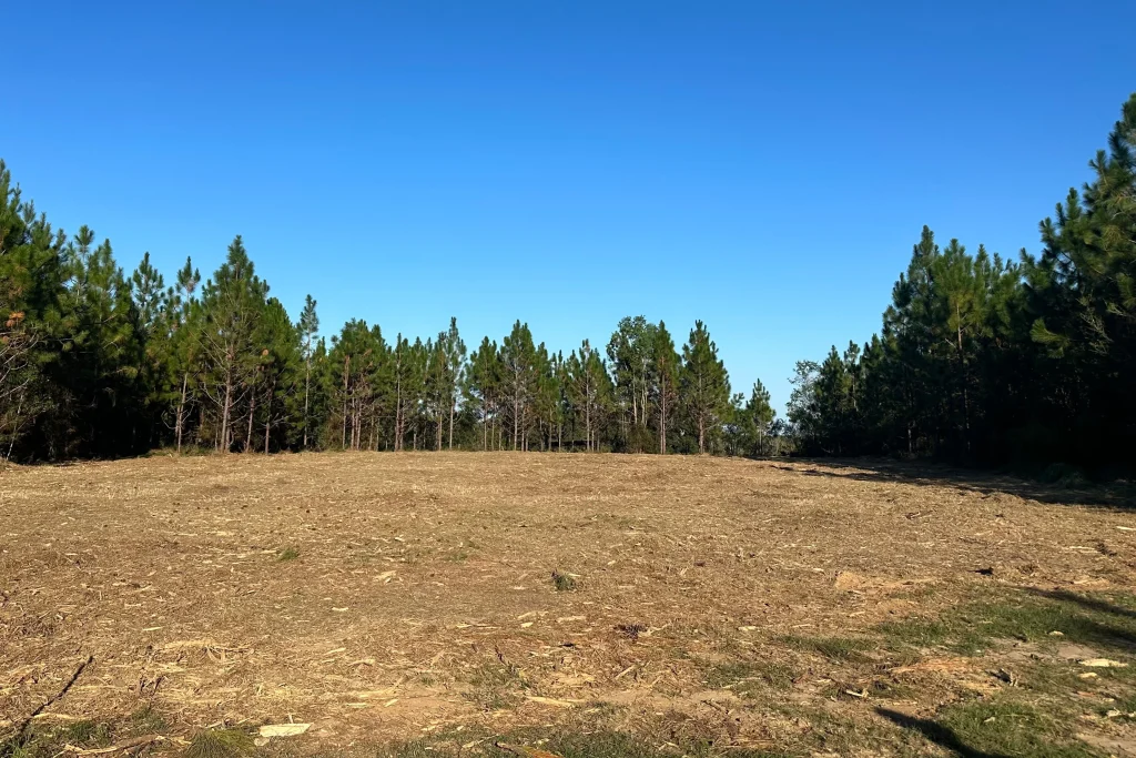 forestry mulching Alabama — Deep South Mulching skid steer cleared land